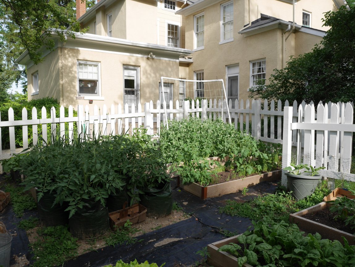 Backyard of Long-Romspert Homestead